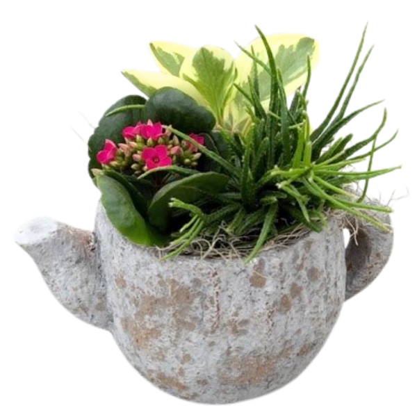 Tropical Tea for Two – Blooms Fresh