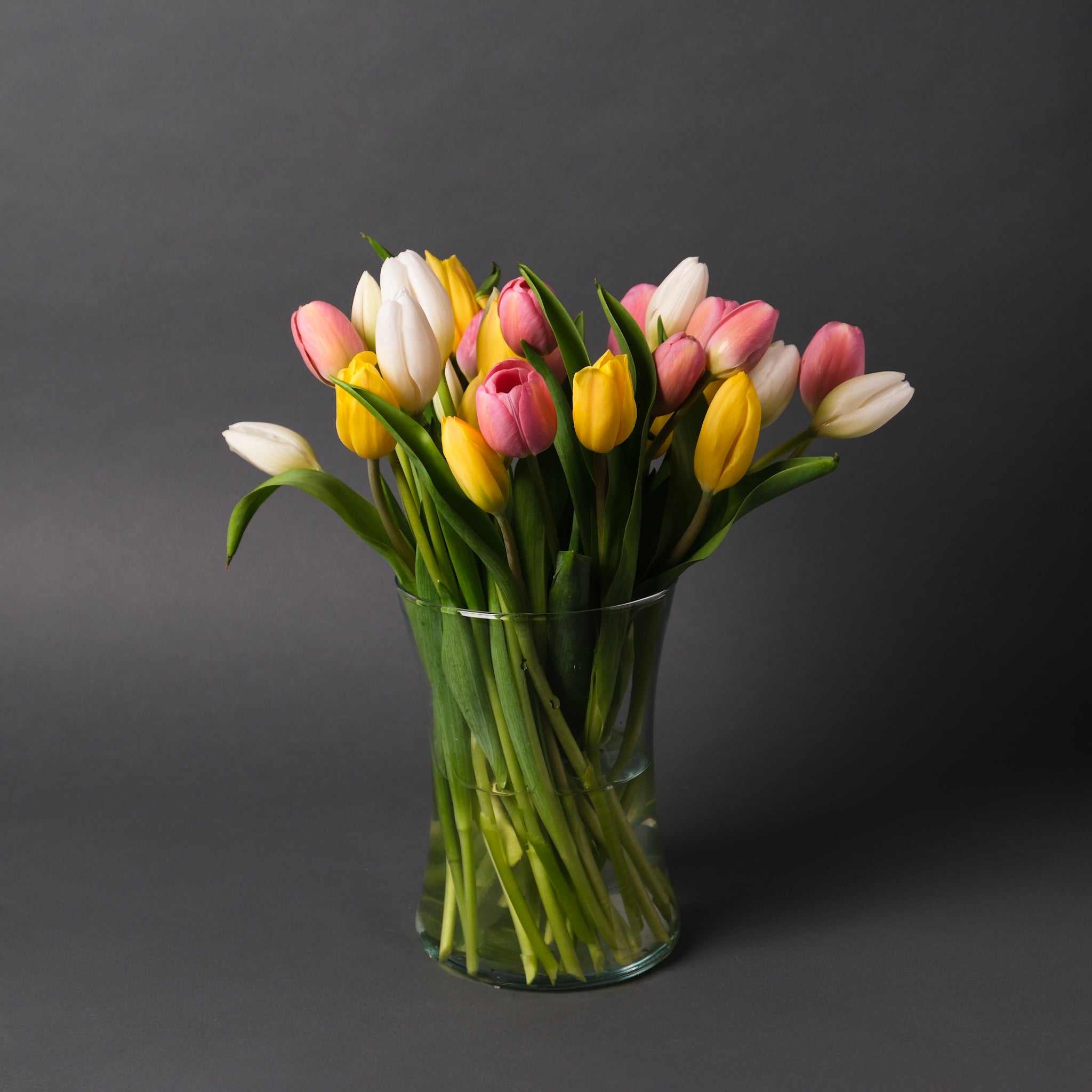 Mother's Day Tulips
