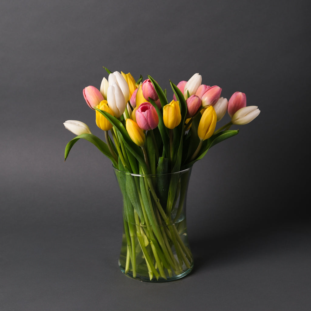 Mother's Day Tulips