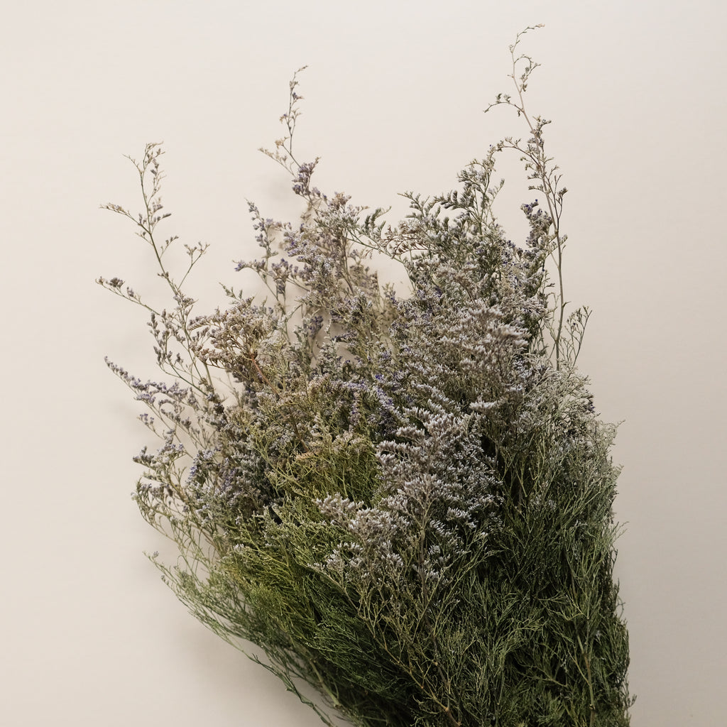 Limonium